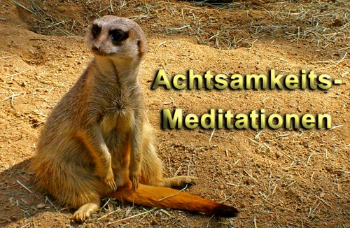 Achtsamkeitsmeditation zum Download als MP3