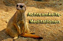 Achtsamkeitsmeditation zum MP3 - Download