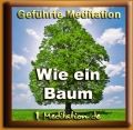Meditation "Wie ein Baum" - Live-Mitschnitt kostenlos